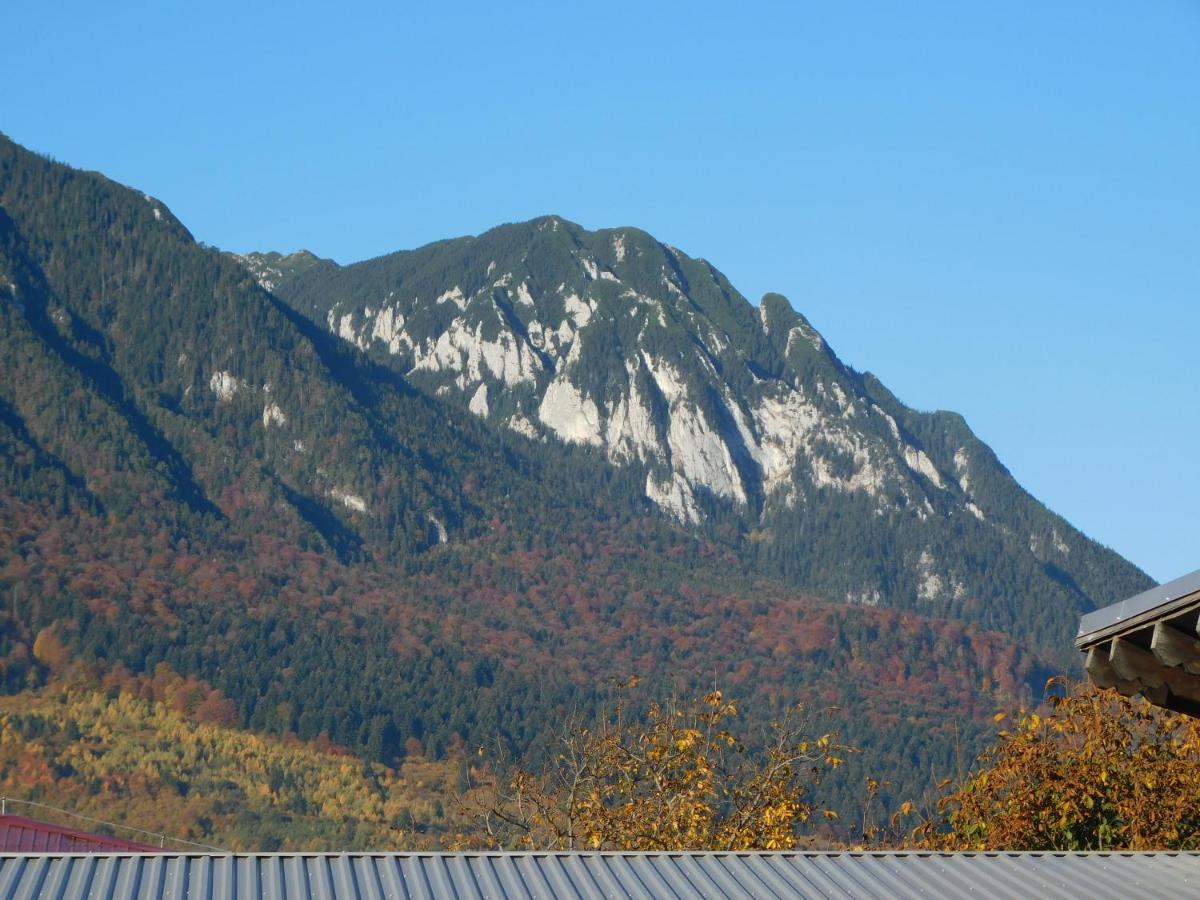 Mountain Vista Suites Zărneşti Esterno foto