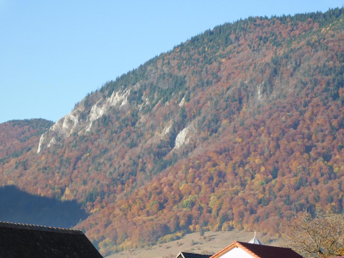 Mountain Vista Suites Zărneşti Esterno foto