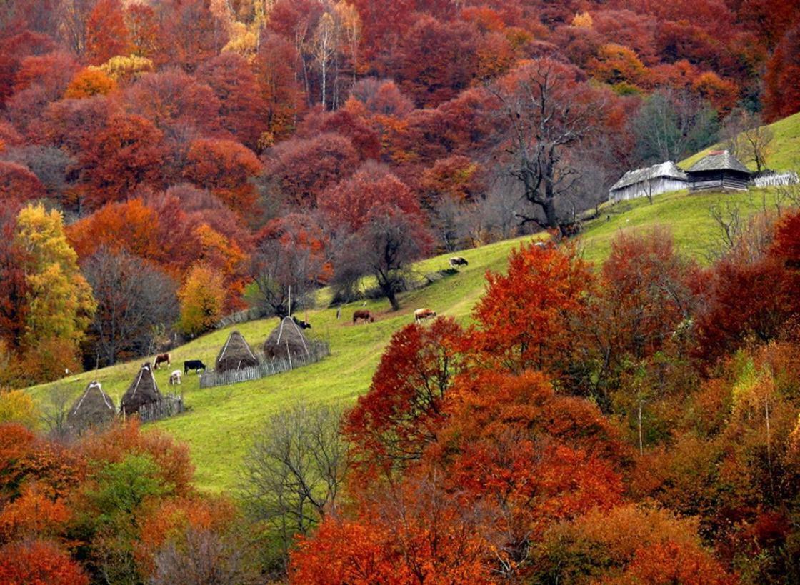 Mountain Vista Suites Zărneşti Esterno foto