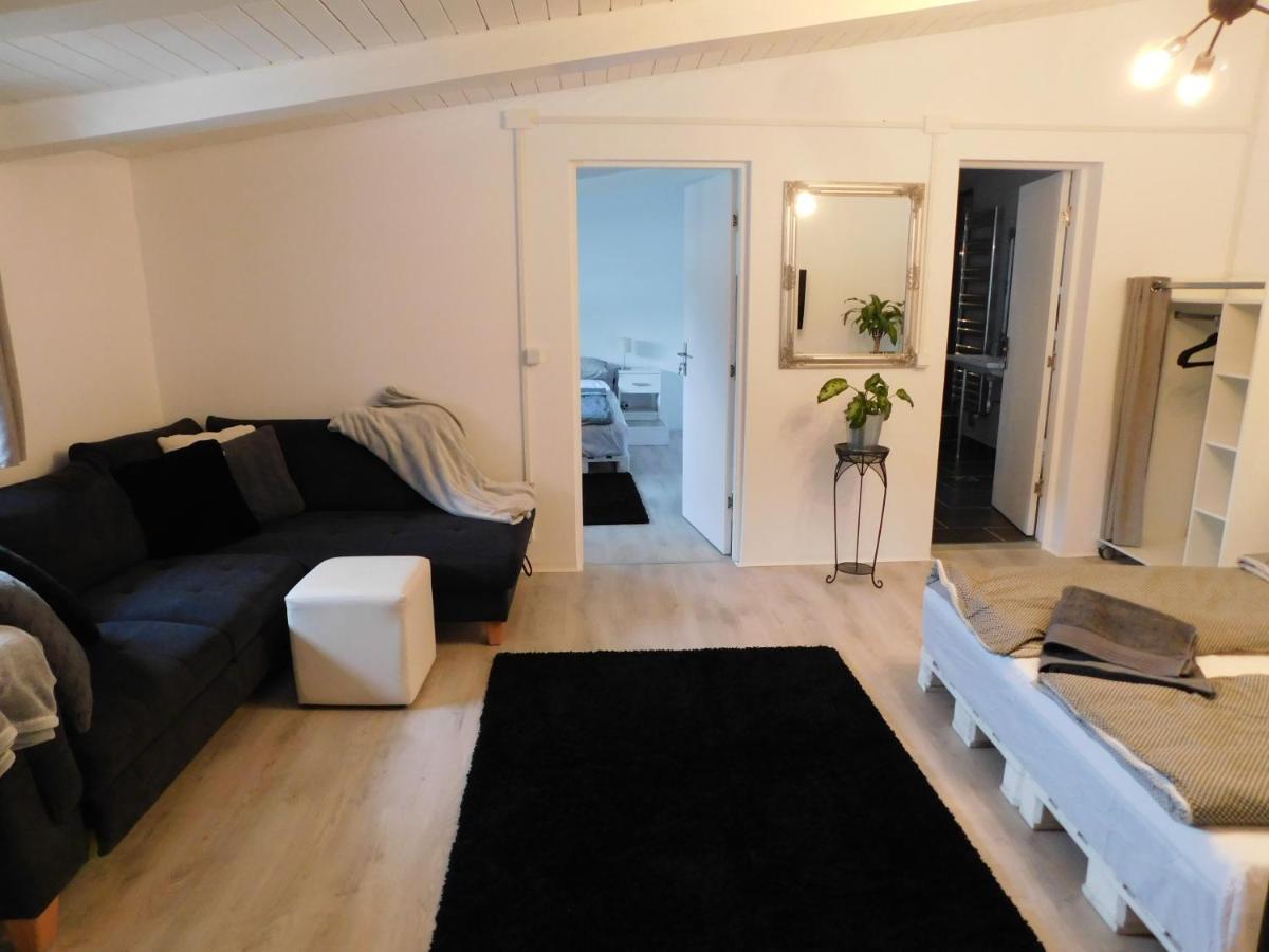 Mountain Vista Suites Zărneşti Esterno foto