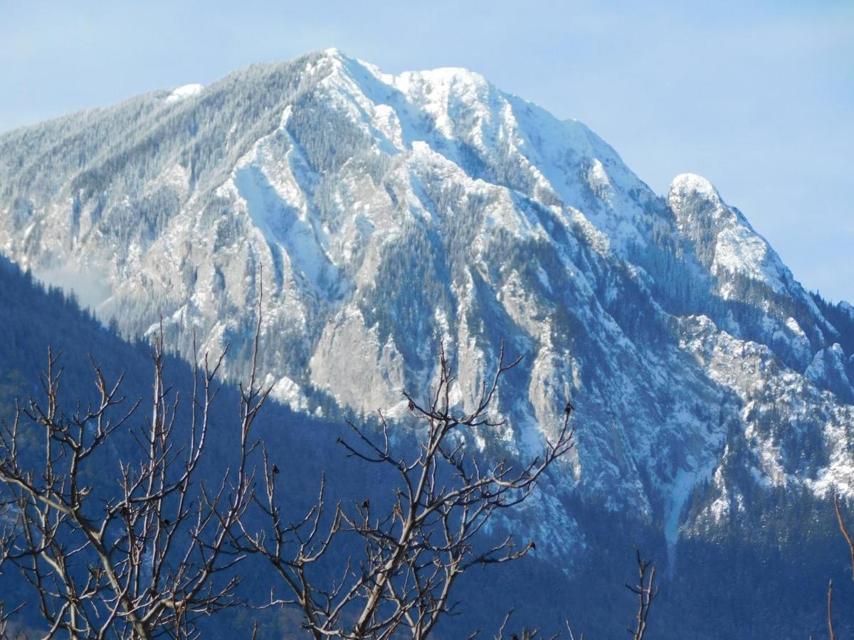 Mountain Vista Suites Zărneşti Esterno foto