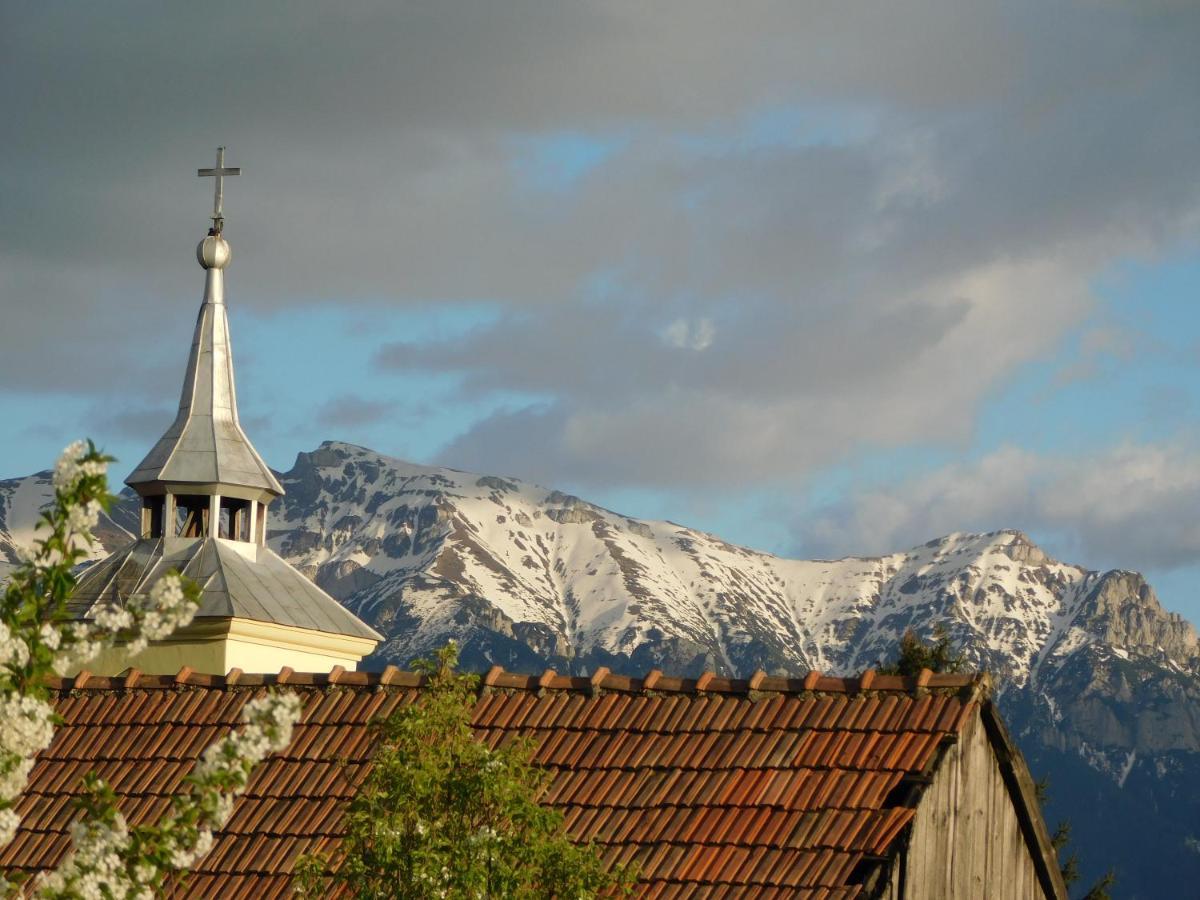 Mountain Vista Suites Zărneşti Esterno foto