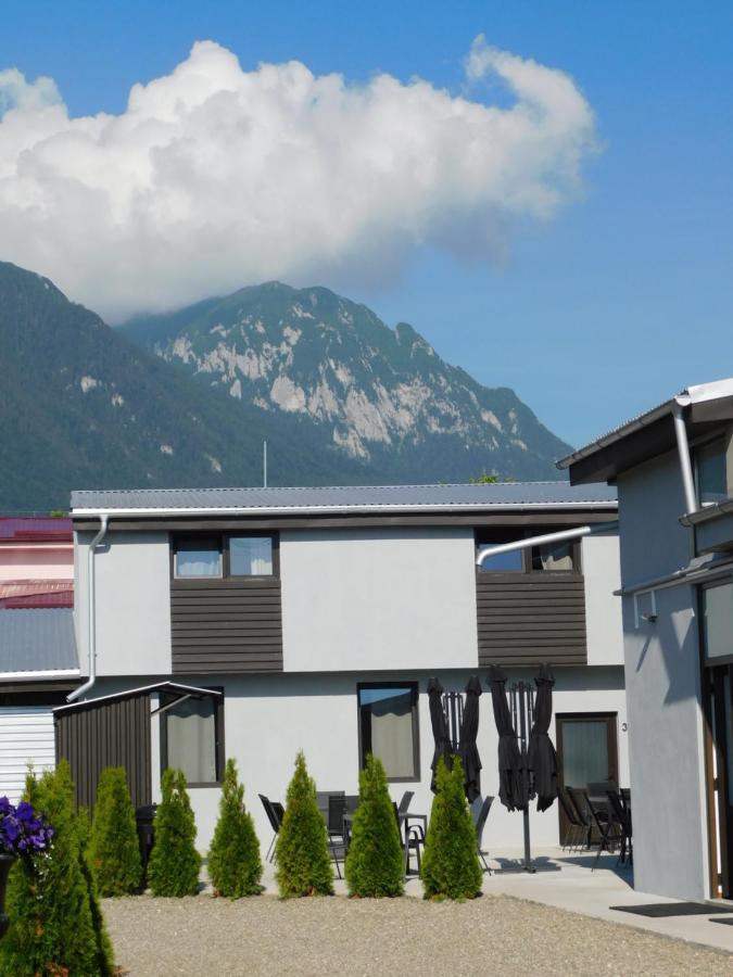 Mountain Vista Suites Zărneşti Esterno foto