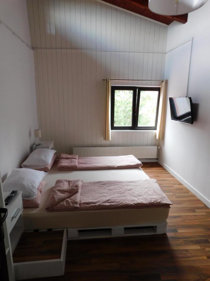 Mountain Vista Suites Zărneşti Esterno foto