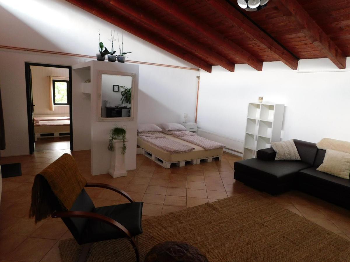 Mountain Vista Suites Zărneşti Esterno foto